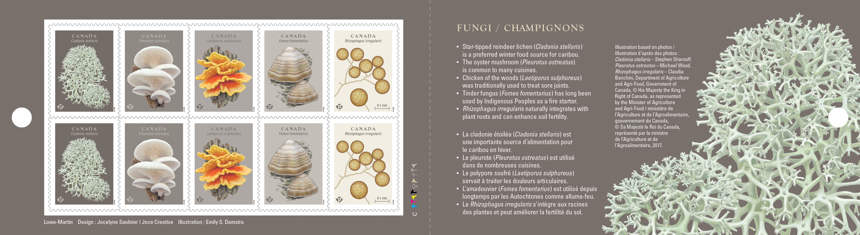 Canada Post fungi stamps 4 2025 Booklet of fungi stamps; interior (shows 10 stamps on left and lichen illustration on right)