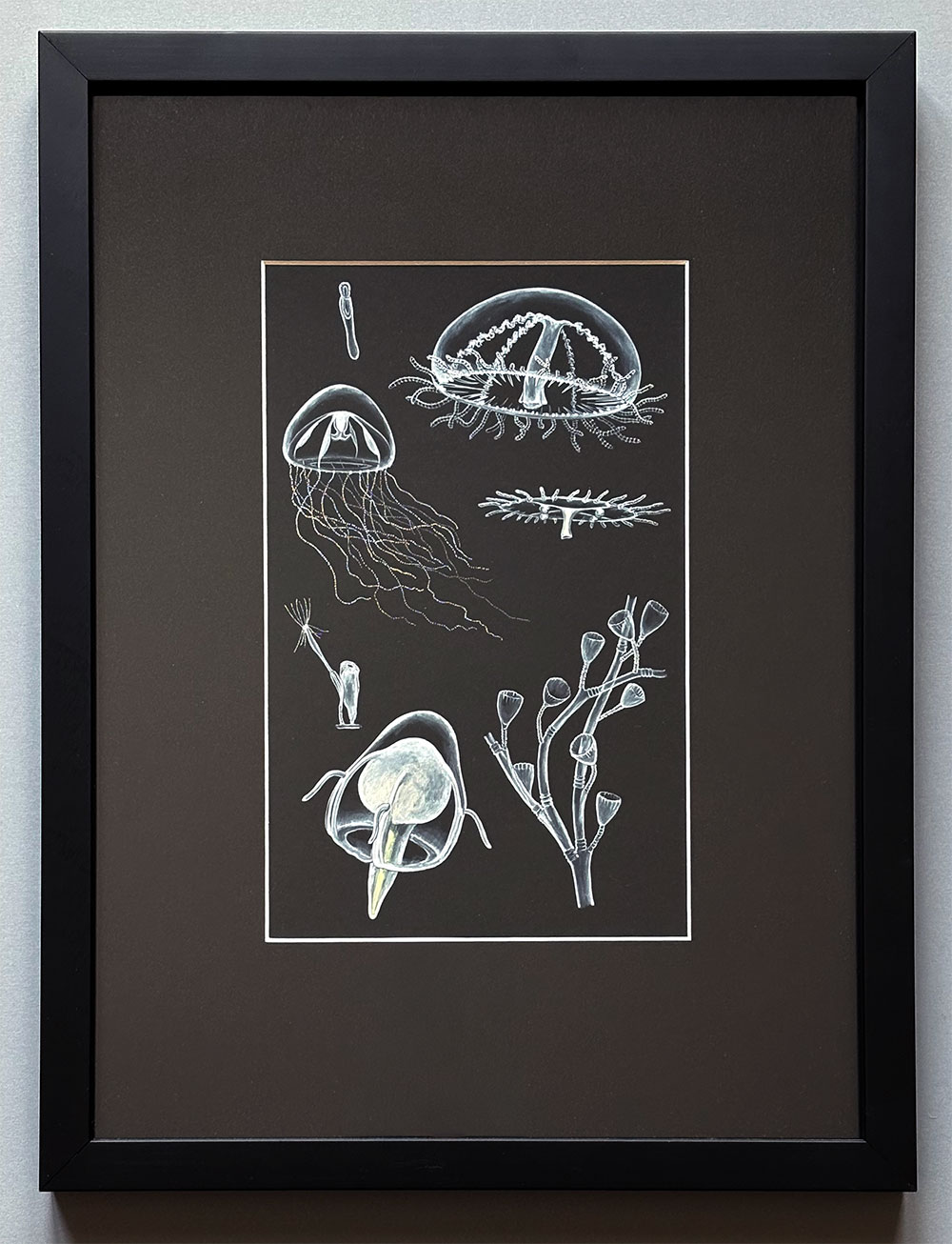 Hydrozoans II original artwork 2 photo of framed Hydrozoans original artwork