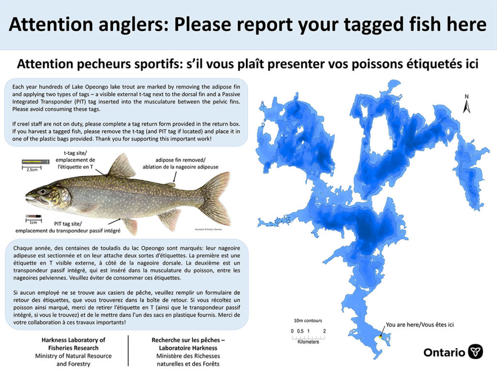 Lake trout sign illustration 1 lake trout sign illustration