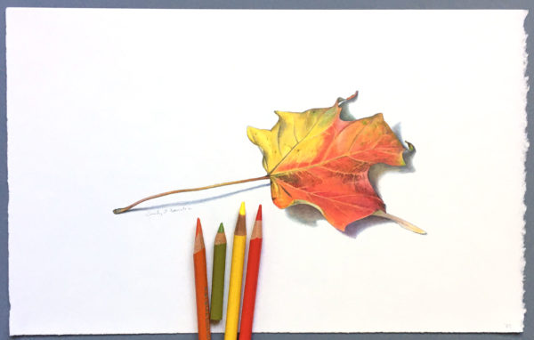 fall maple leaf art