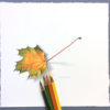 fall maple leaf art
