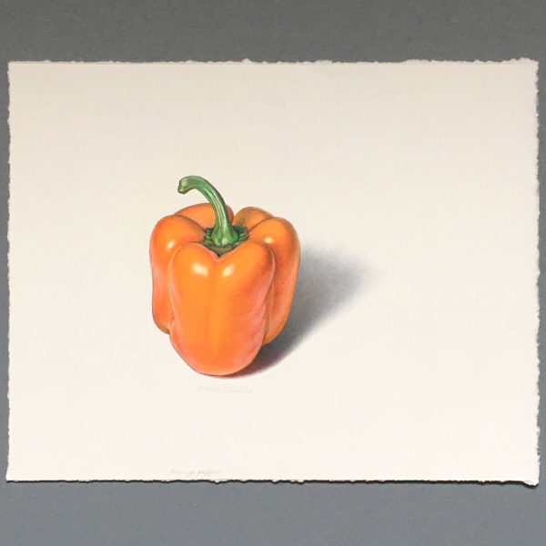 colored pencil drawing orange pepper