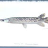 Tropical gar original painting