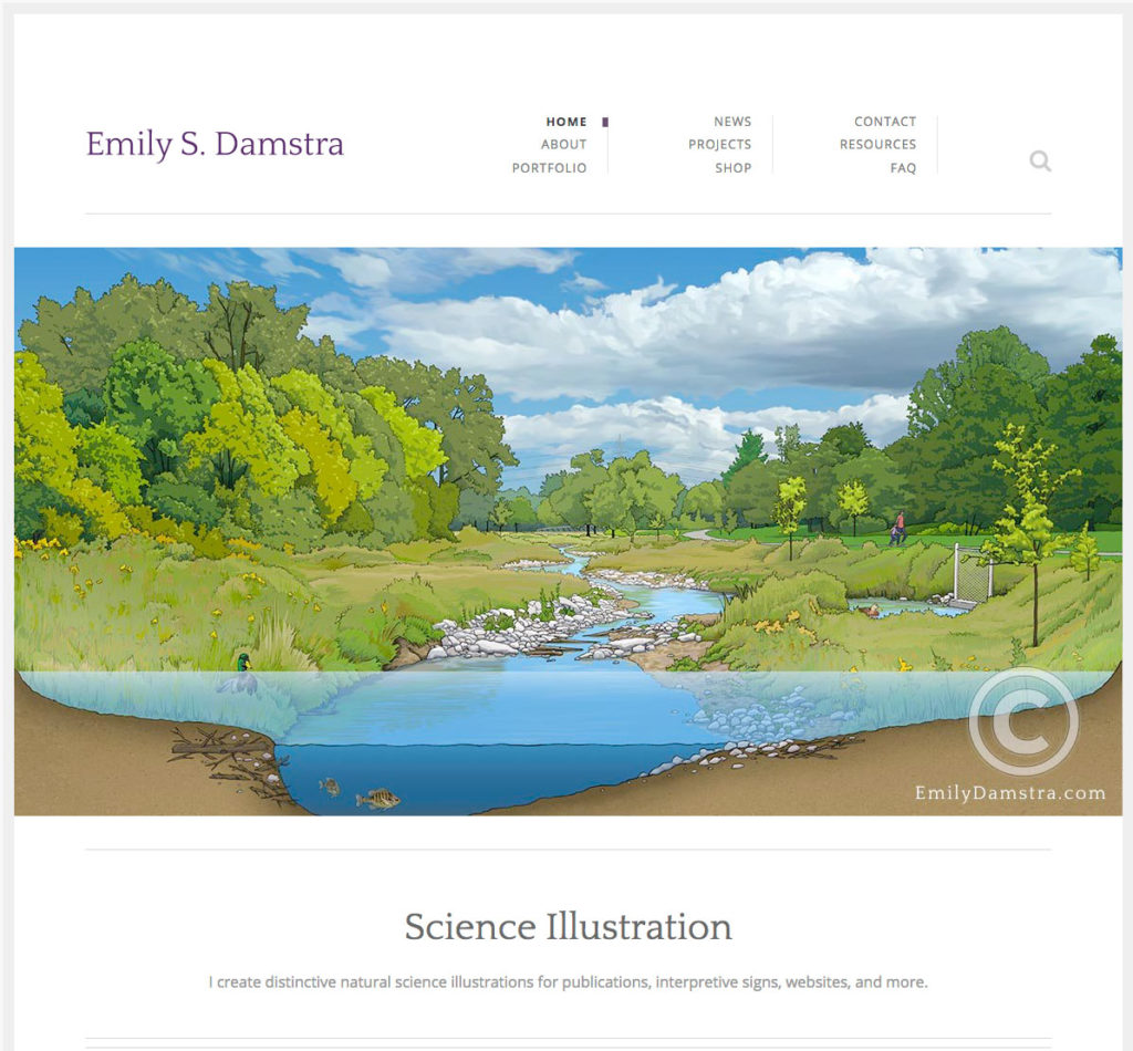 New website and 100th blog post! 1 Snippet of homepage