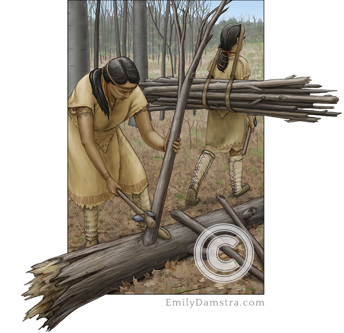 Neutral indigenous women collecting wood